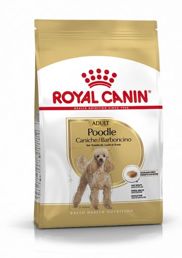 Royal Canin Poodel Adult 500g