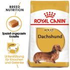 Royal Canin Dachshund Adult 7,5kg