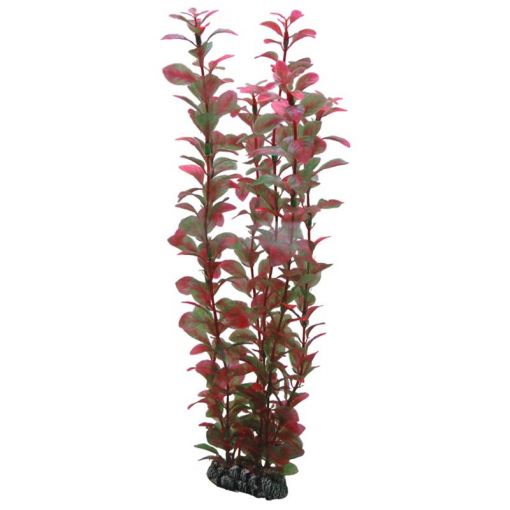 Dohse HOBBY Ludwigia 34 cm  SB