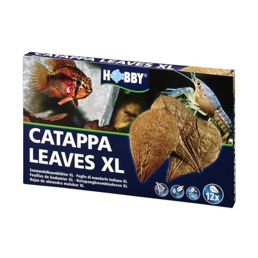 Dohse HOBBY Catappa Leaves XL  12 Stück