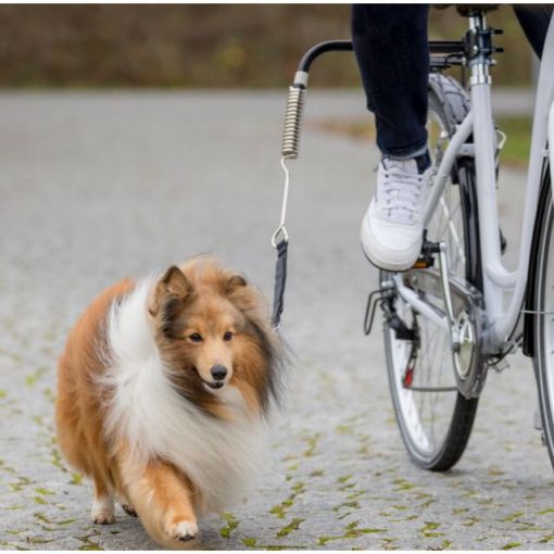 Trixie Biker-Set für Hunde Größe: S–M