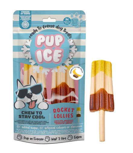Pup Ice Dog Snack Rocket Lollies Banana & Chocolate M 1 x 2 Stück