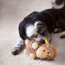 KONG Barnyard Cruncheez Sheep Large