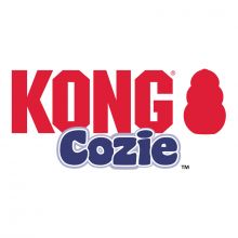 KONG Cozie Funky Monkey Small