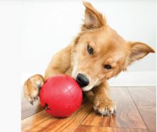 KONG Biscuit Ball Large