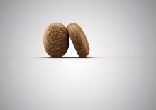 Josera Optiness 900 g (Menge: 5 je Bestelleinheit)