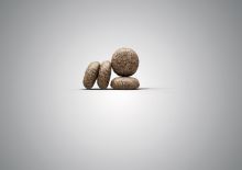 Josera MiniDeluxe 900 g (Menge: 5 je Bestelleinheit)