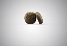 Josera Lachs & Kartoffel 900 g (Menge: 5 je Bestelleinheit)