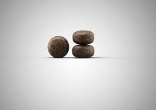 Josera Light & Vital 900 g (Menge: 5 je Bestelleinheit)