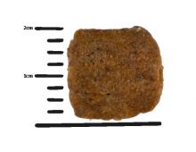 Green Petfood VeggieDog Grainfree 10kg