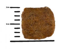 Green Petfood VeggieDog Origin 10kg