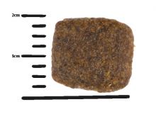 Green Petfood InsectDog Hypoallergen 900g (Menge: 5 je Bestelleinheit)