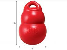 KONG Bounzer Medium