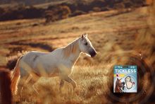 TickLess HORSE Ultraschallgerät - Beige