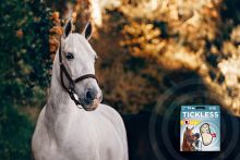 TickLess HORSE Ultraschallgerät - Braun
