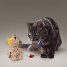 KONG Cat Softies Buzzy Llama