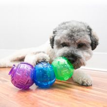 KONG Lock-It Large 2er Pack