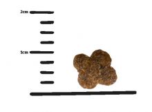 Green Petfood FairCat Safe 300 g