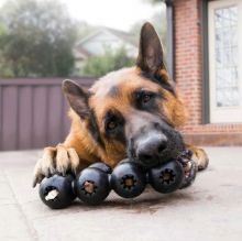 KONG Extreme Goodie Ribbon Large