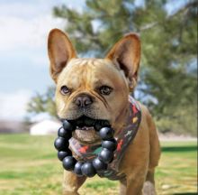 KONG Extreme Ring Extra Large