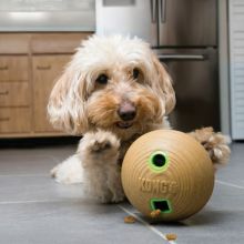 KONG Bamboo Feeder Ball Medium