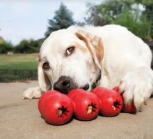 KONG Goodie Ribbon Small