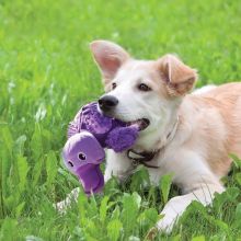 KONG Shells Turtle Large