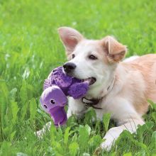 KONG Shells Bear Small