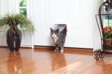 PetSafe Haustiertür für große Katzen & kleine Hunde weiß