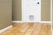 PetSafe Haustiertür für große Katzen & kleine Hunde weiß