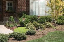 PetSafe Bellkontrolle für Außenbereiche