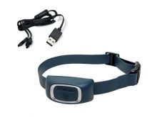 PetSafe Ferntrainer Standard für zusätzliches Empfängerhalsband