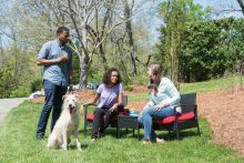 PetSafe Ferntrainer Lite 600 Meter