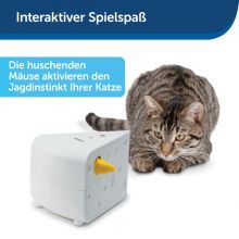 PetSafe Cheese Automatisches Katzenspielzeug