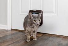 PetSafe Katzenklappe mit manueller Verriegelung braun