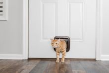 PetSafe Katzenklappe mit manueller Verriegelung braun