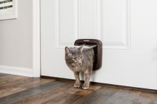 PetSafe Mikrochip-Katzenklappe braun
