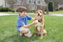 PetSafe Zus&auml;tzliches Empf&auml;ngerhalsband Deluxe Ultralight