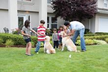 PetSafe Zus&auml;tzliches Empf&auml;ngerhalsband Deluxe Ultralight