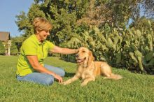 PetSafe Zus&auml;tzliches Empf&auml;ngerhalsband f&uuml;r drahtlose R&uuml;ckhaltesysteme