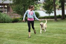 PetSafe Zus&auml;tzliches Empf&auml;ngerhalsband f&uuml;r drahtlose R&uuml;ckhaltesysteme f&uuml;r widerspenstige Hunde