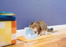 PetSafe Trinkbrunnen Drinkwell Original