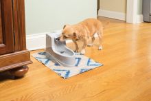 PetSafe Trinkbrunnen Drinkwell Mini