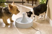 PetSafe Trinkbrunnen Drinkwell Kunststoff 360