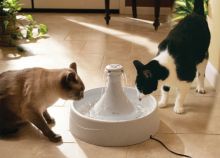 PetSafe Trinkbrunnen Drinkwell Kunststoff 360