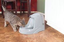 PetSafe Trinkbrunnen Drinkwell Platin