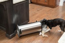 PetSafe Smart Dog Trainer