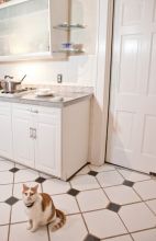 PetSafe Pawz Away Mini Haustier Barriere