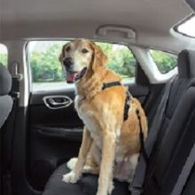 PetSafe 3 in 1 Geschirr & Rückhaltegurt L - schwarz