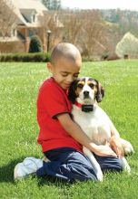 PetSafe Antibellhalsband 6 Stufen